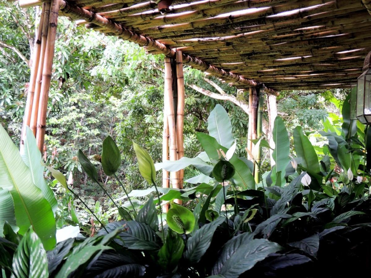 Sitio Alto Da Montanha - Voce Em Paz Com A Natureza Пакоти Екстериор снимка