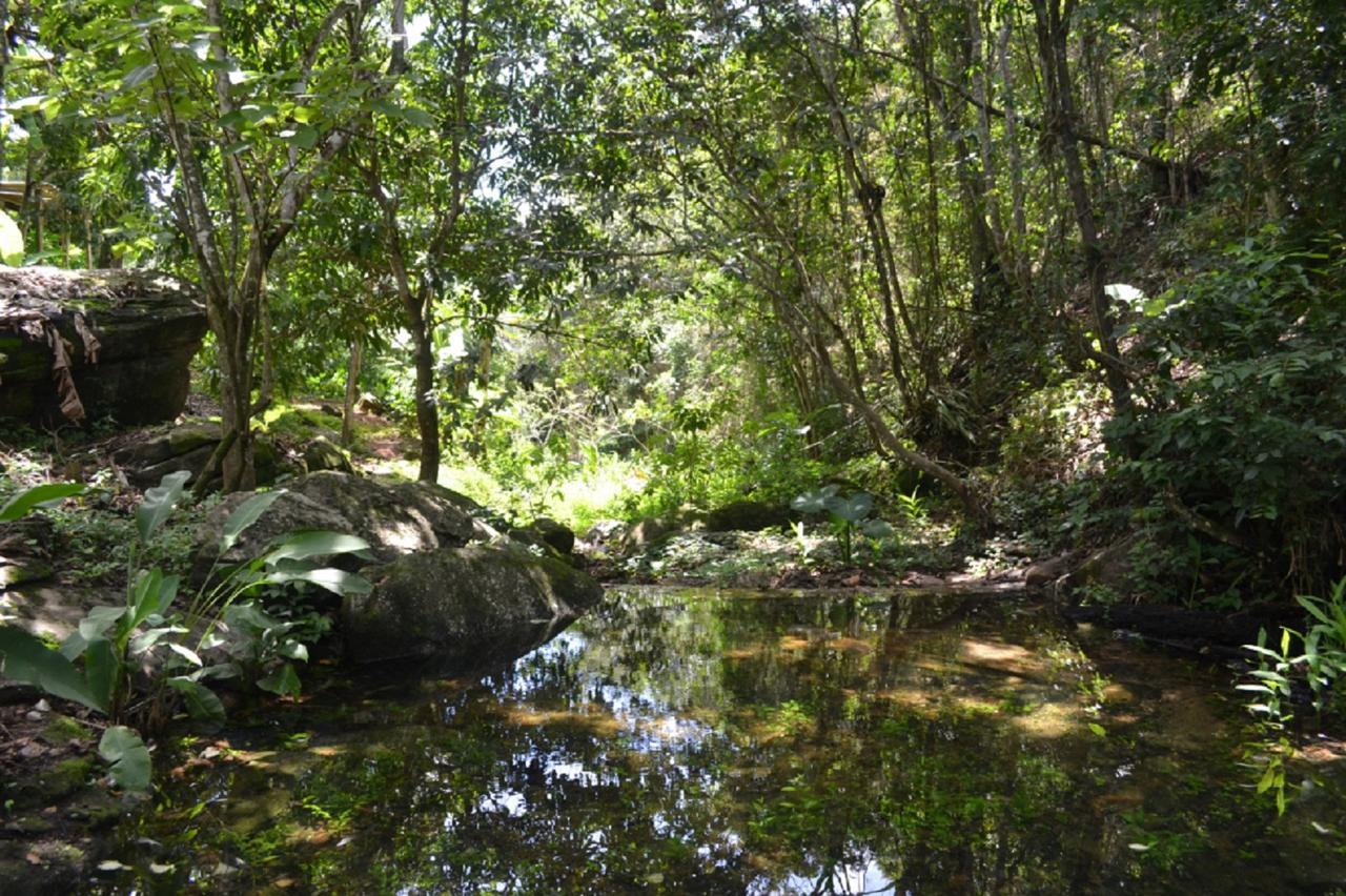Sitio Alto Da Montanha - Voce Em Paz Com A Natureza Пакоти Екстериор снимка