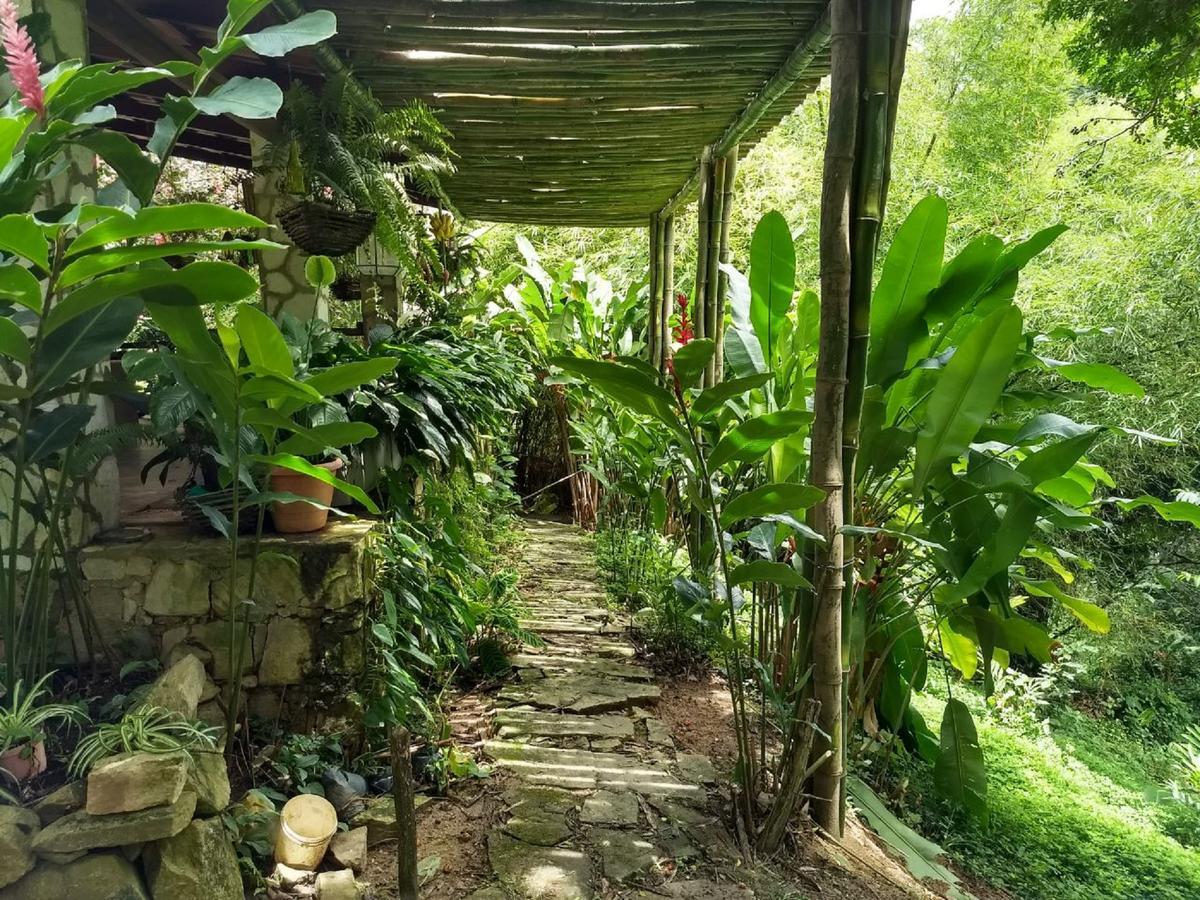 Sitio Alto Da Montanha - Voce Em Paz Com A Natureza Пакоти Екстериор снимка